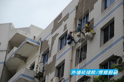 專業(yè)高空外墻維修與清潔服務(wù)——潔萬家蜘蛛人守護陳家坪建筑安全